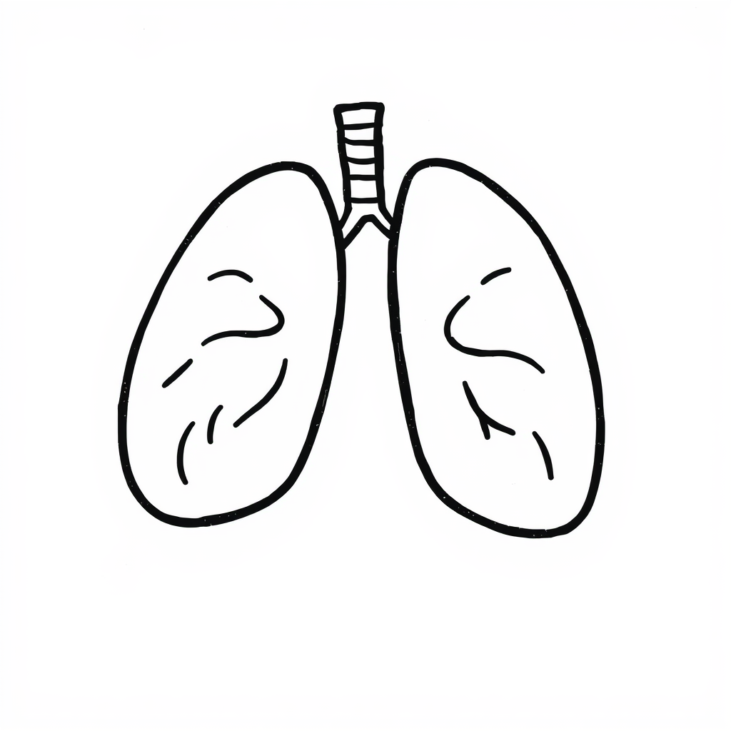 Lungs inhaling clean air